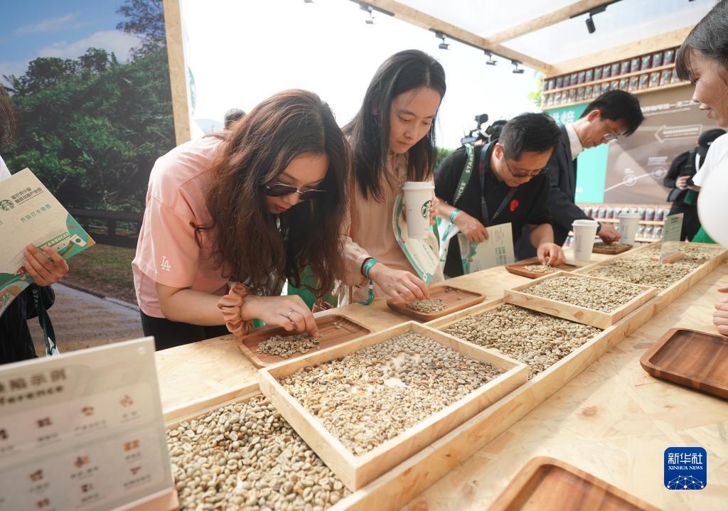 森林用什么游戏平台